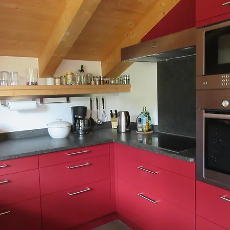 Duxeranger E 10 * Krimml